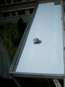 Refreshed roof by Kirkland Washington area roof coating specialists Leewens Corporation